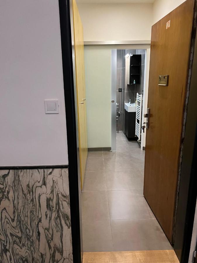 Studio Apartment In Center Brno Bagian luar foto